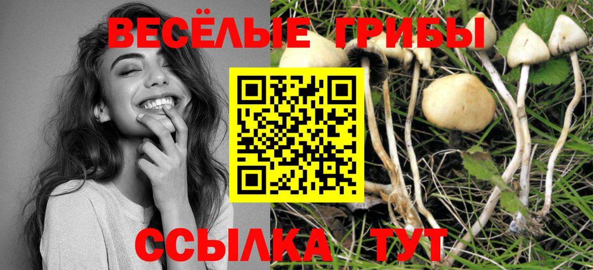 Псилоцибиновые грибы Magic Shrooms  Псилоцибиновые грибы Cubensis  Вход с VPN  Северобайкальск 