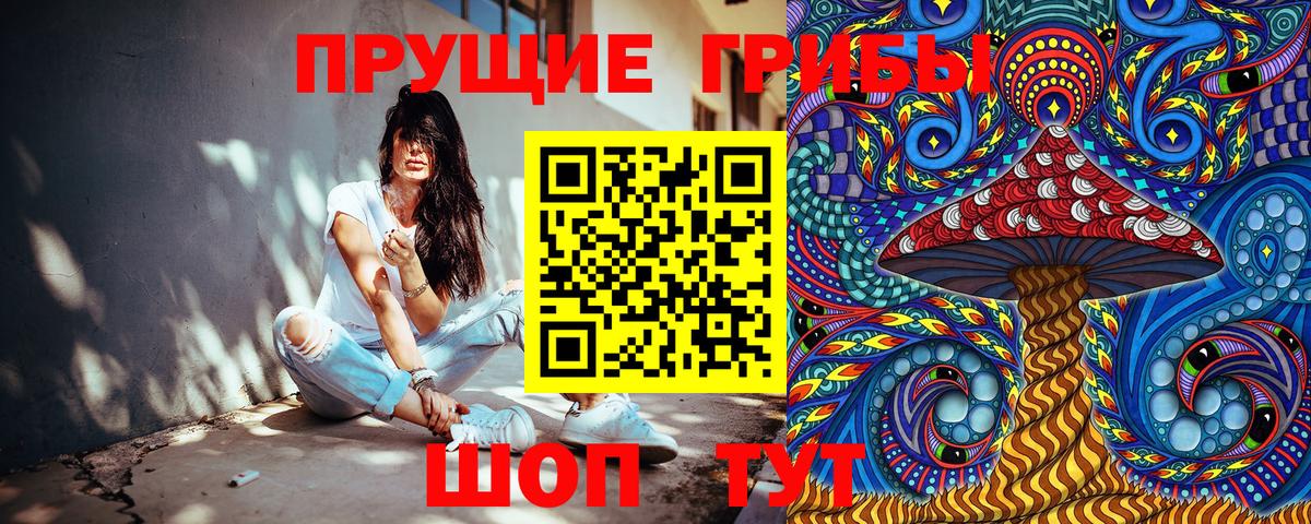 Псилоцибиновые грибы прущие грибы Северобайкальск